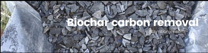Zimbanjex Biochar Carbon Removal